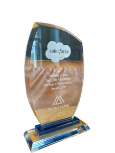 Salesforce Partner Award